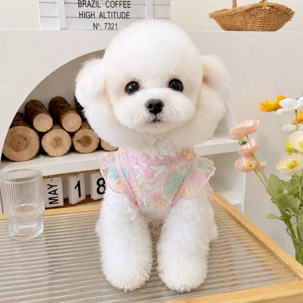 Daisy Mesh Pet Vest for Dogs and Cats