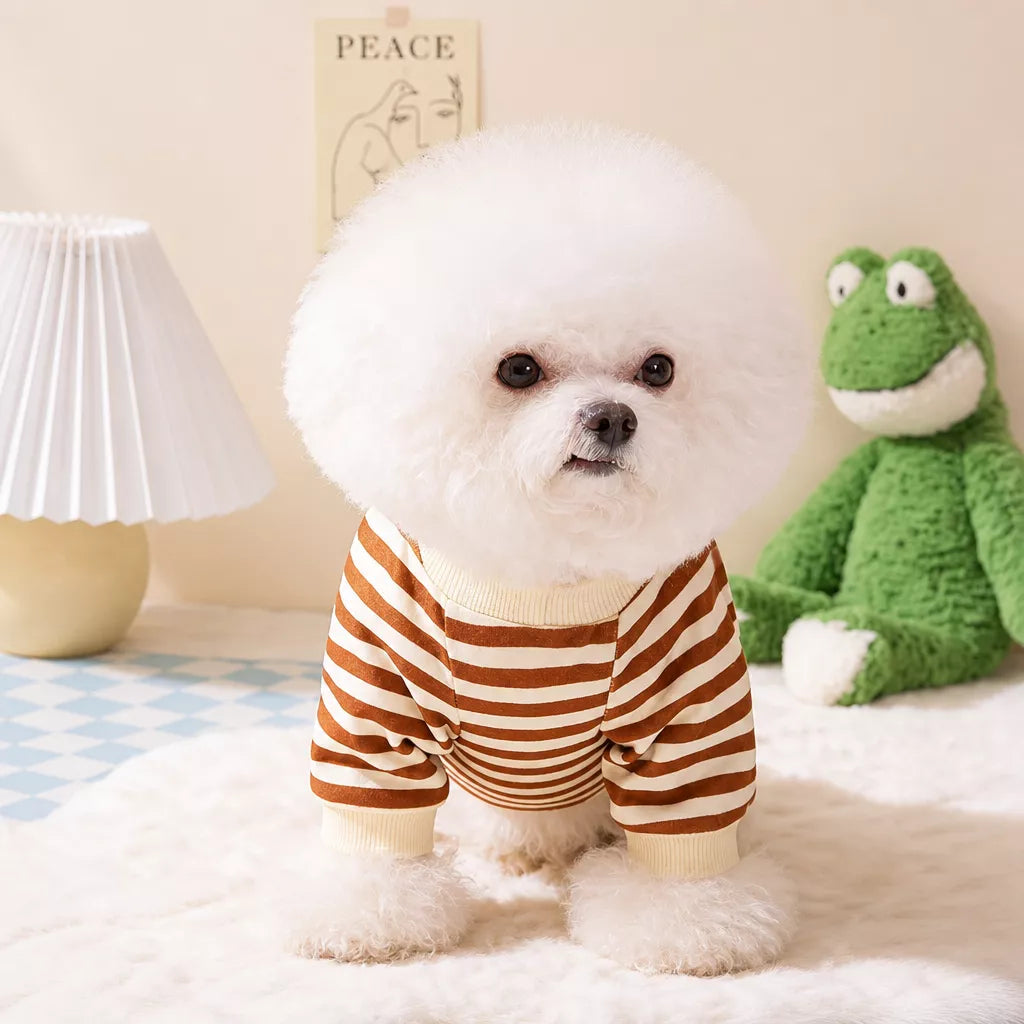 Teddy Bear Four-Leg Pet Outfit for Small Dogs & Cats