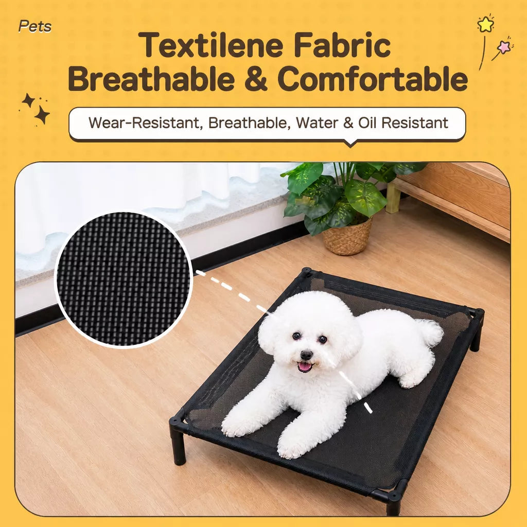 Elevated Dog & Cat Bed with Removable, Washable Pad