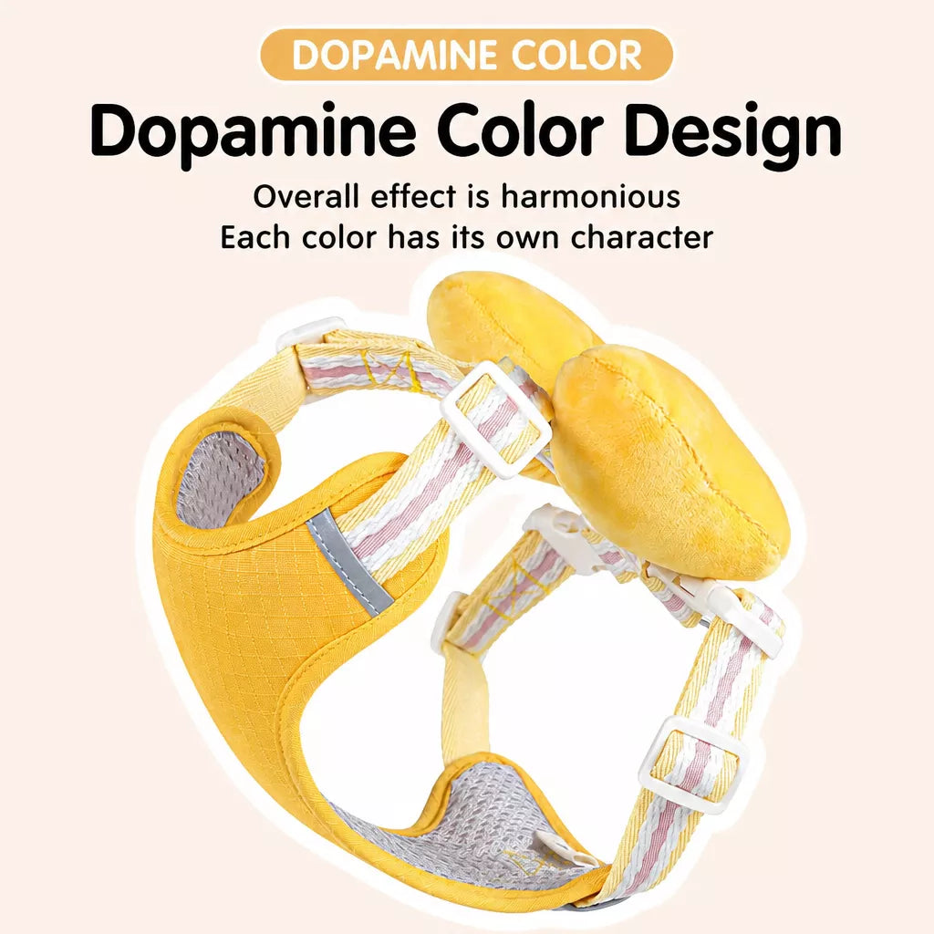 Small Dog Harness & Leash