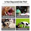 Soft Mesh Dog Muzzle with Plastic Guard