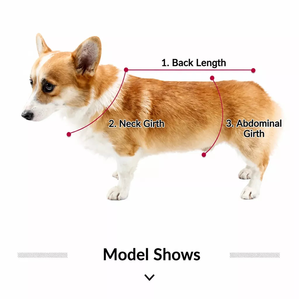 Full-Coverage Dog Raincoat Cape