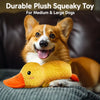 Plush Squeaky Dog Toys