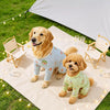 Breathable Mesh Four-Leg Dog Jumpsuit