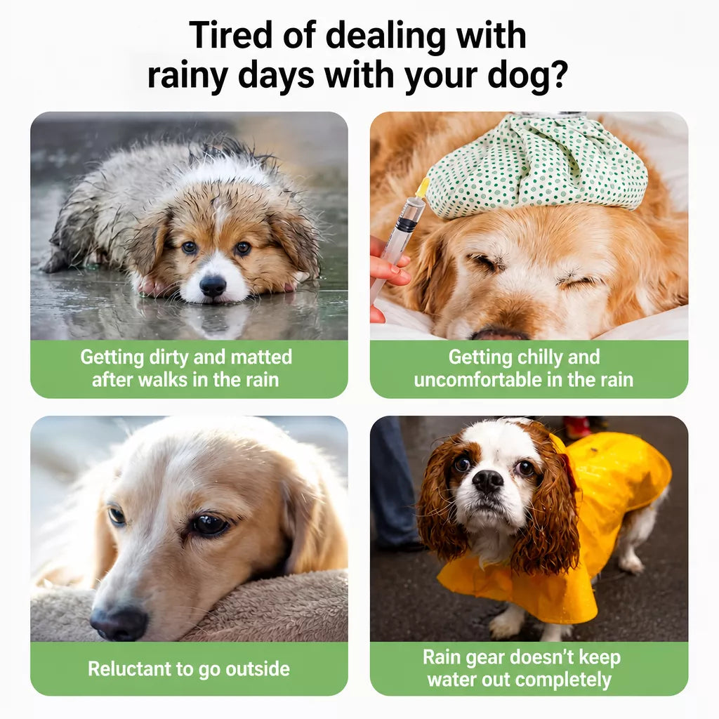 Four-Leg Raincoat for Small Dogs