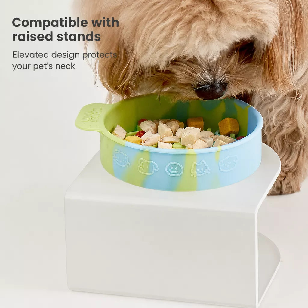Slow-Feeder Bowl for Dogs and Cats