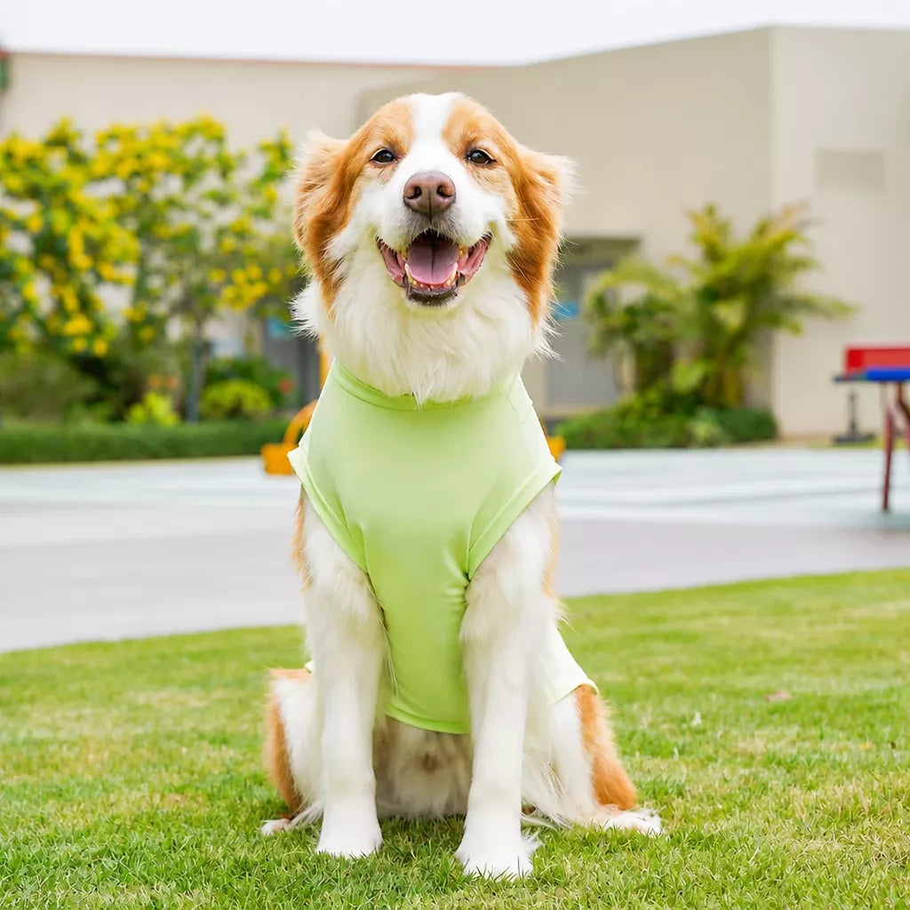 Lightweight Four-Leg Pet Shirt for Dogs & Cats