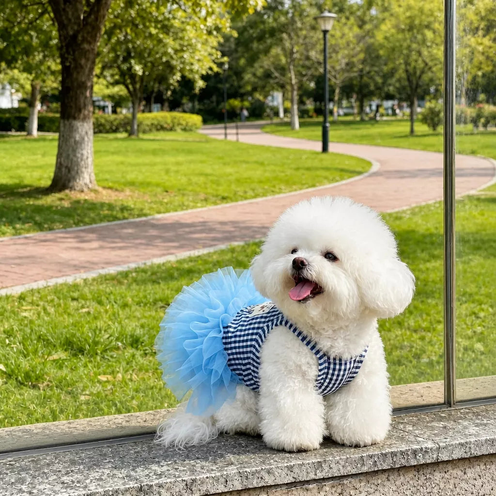 Blue Striped Mesh Dress for Dogs & Cats