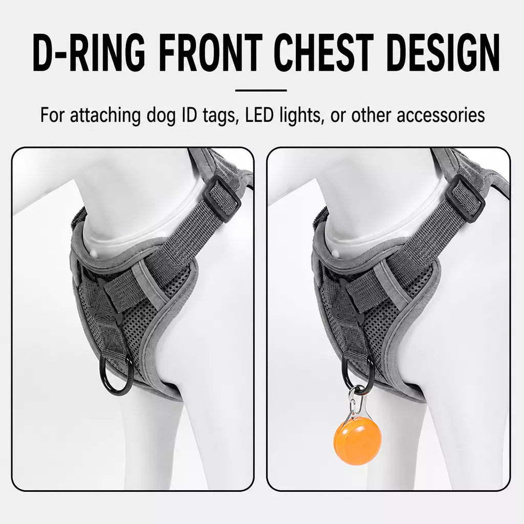 Adjustable Cat Harness and Leash