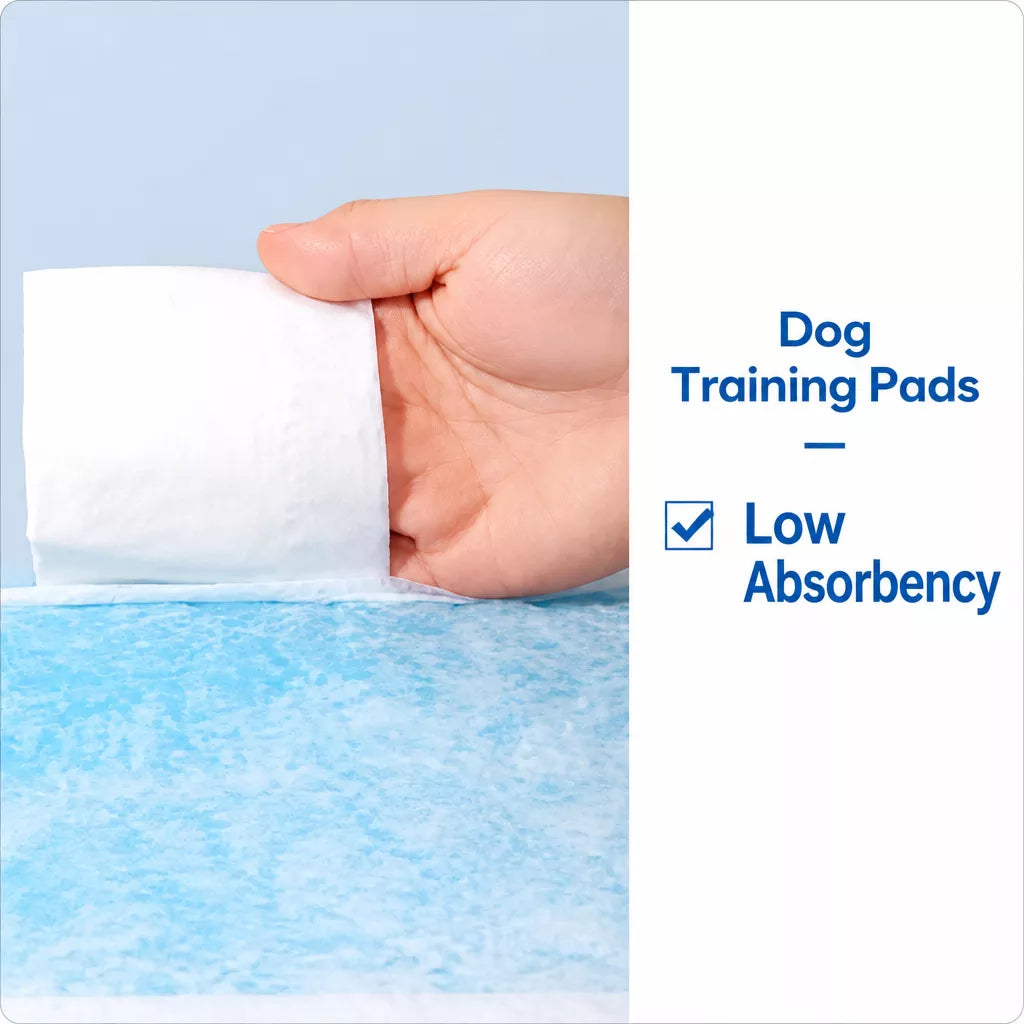 Disposable Dog Diapers for Male and Female Dogs