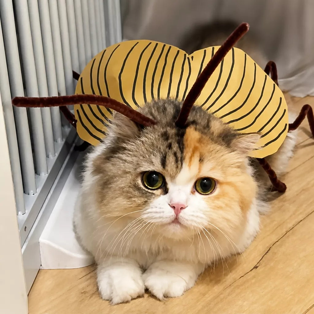 Cockroach-Inspired Cat Costume with Matching Collar
