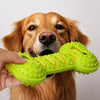 Double-Layer Squeaky Silicone Bone Toy for Dogs