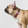 Faux Leather Dog & Cat Collar with Jewel Detail
