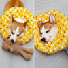 Soft Elizabethan Cone Collar for Dogs