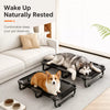Foldable Elevated Pet Cot with Breathable Mesh