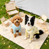 Lightweight Four-Leg Dog Shirt