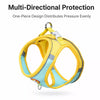 Nylon Dog Harness and Leash for Small Dogs