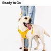 Lightweight Breathable Dog Harness and Leash
