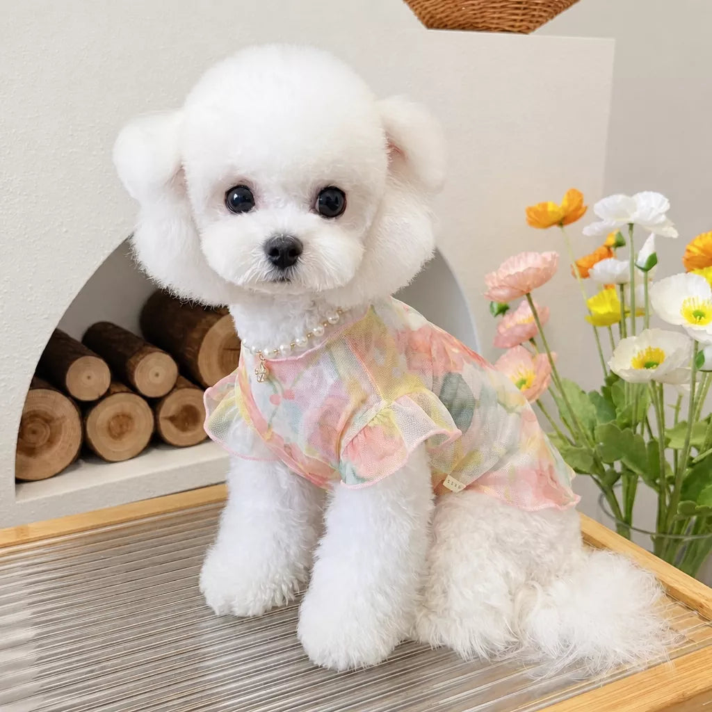 Lightweight Mesh Pet Vest for Dogs and Cats
