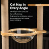 Multi-Level Cat Tree with Scratching Posts and Space Pod
