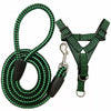 Adjustable Nylon Dog Harness and Leash Set for Everyday Walks