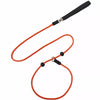 Nylon Rope Training Leash for Small to Medium Dogs