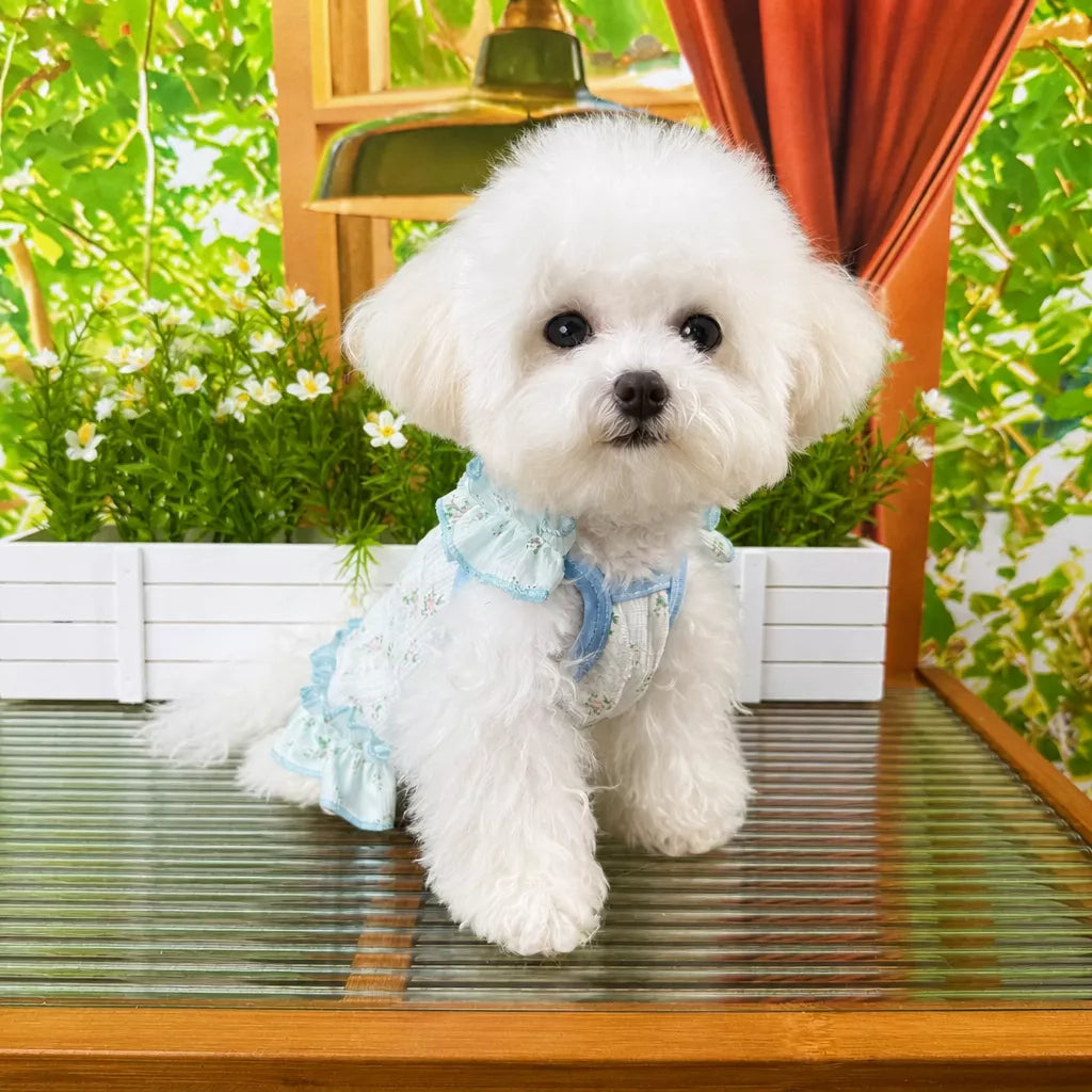 Lightweight Cutout Dress for Small Dogs and Cats