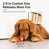 Interactive Squeaky Jumping Ball Dog Toy