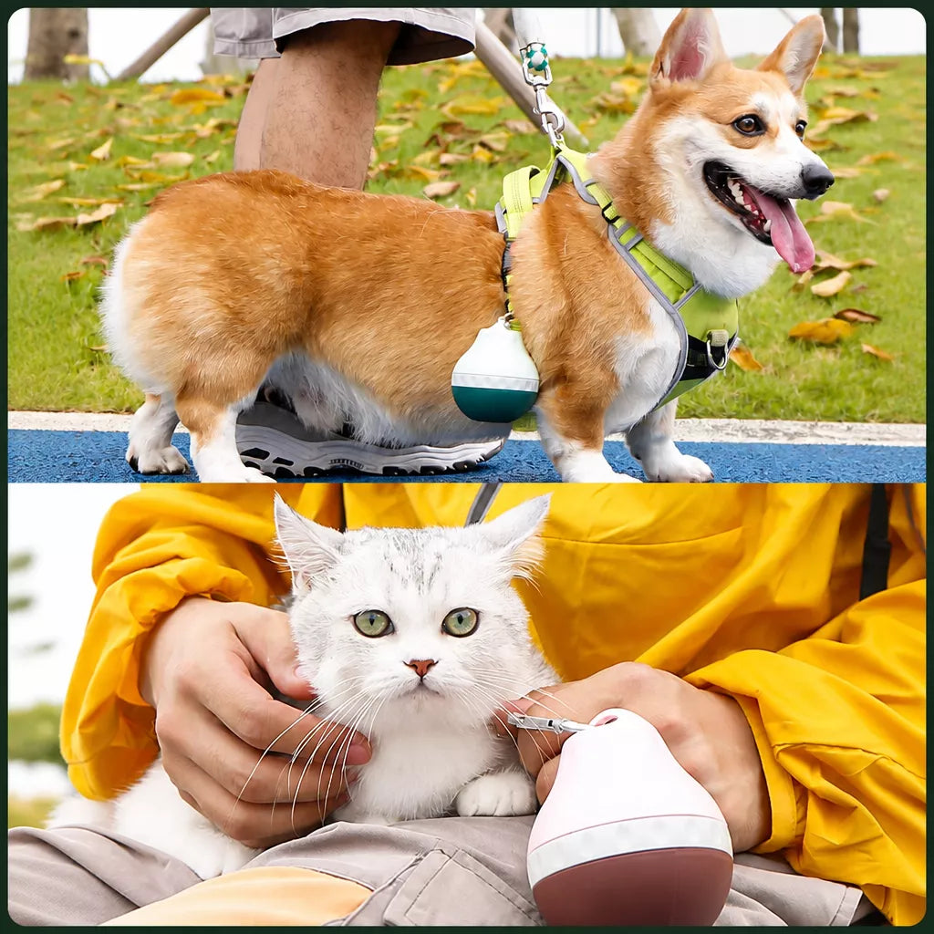 Portable Pet Water Bottle with Drinking Cup