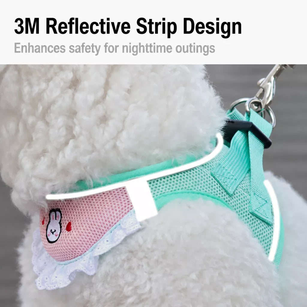 Nylon Dog & Cat Harness and Leash for Everyday Walks