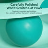 Cat Spinning Wheel Toy with Feather Wand and Play Balls