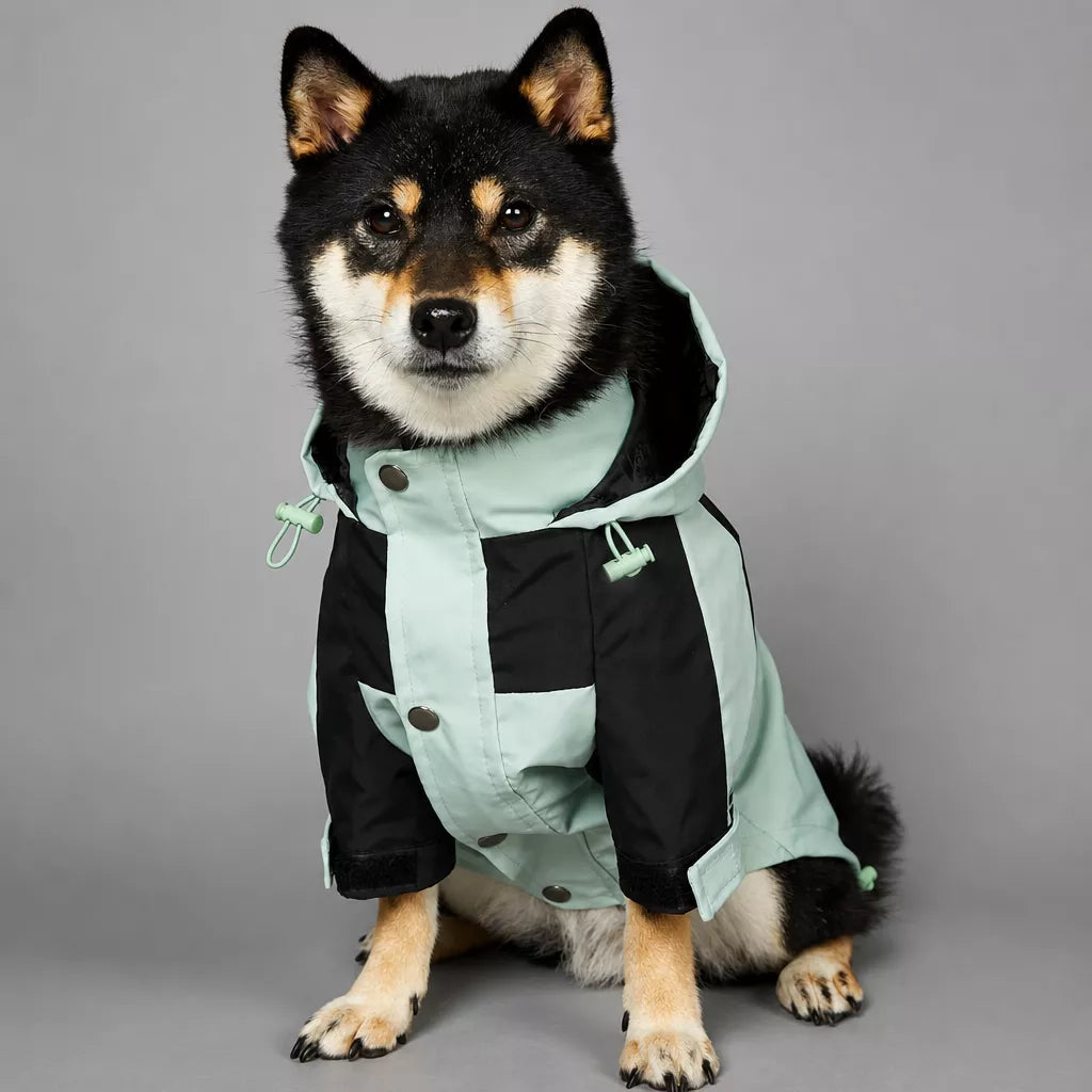 Dog Rain Jacket – Wind- and Water-Resistant Outdoor Coat