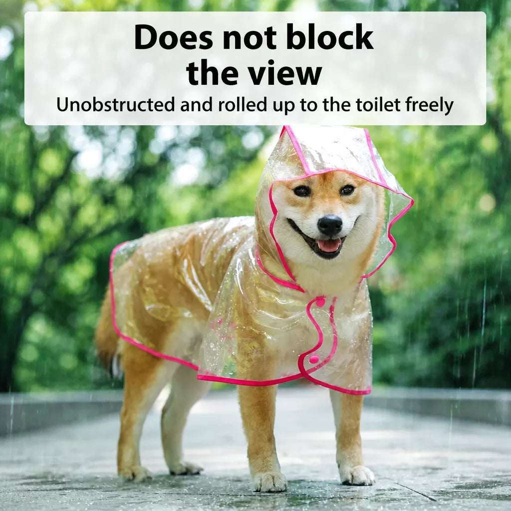 Transparent EVA Dog Raincoat with Hood