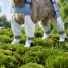 Dog One-Piece Walking Suit with Built-In Leg Covers