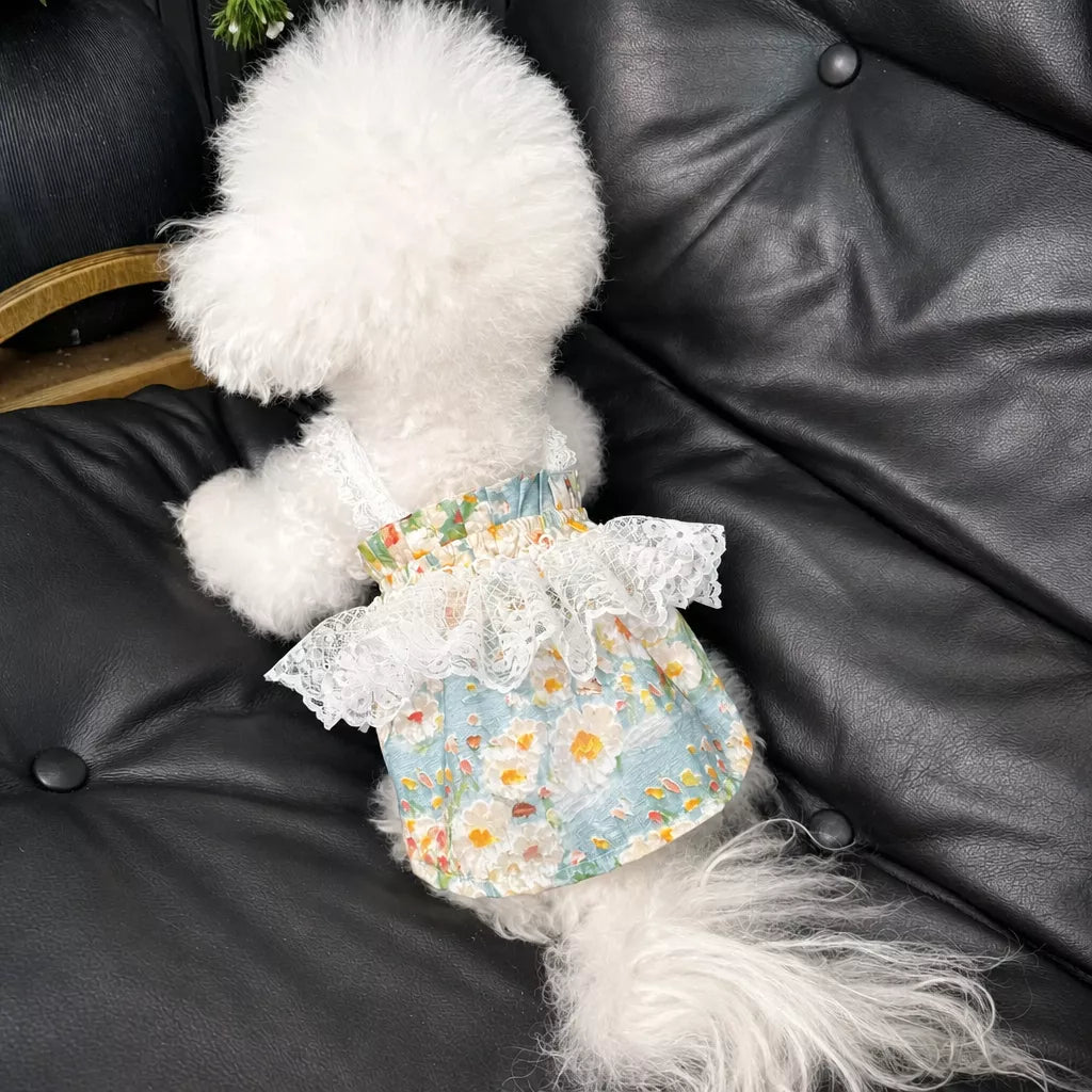 Lightweight Floral Lace Dress for Dogs & Cats