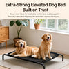 Elevated Mesh Dog Bed with Iron Frame
