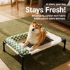 Elevated Mesh Pet Bed for Dogs and Cats with Removable Cushion