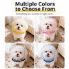 Breathable Mesh Dog Muzzle for Small to Medium Dogs