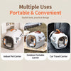 Portable Plastic Pet Carrier for Small Dogs and Cats