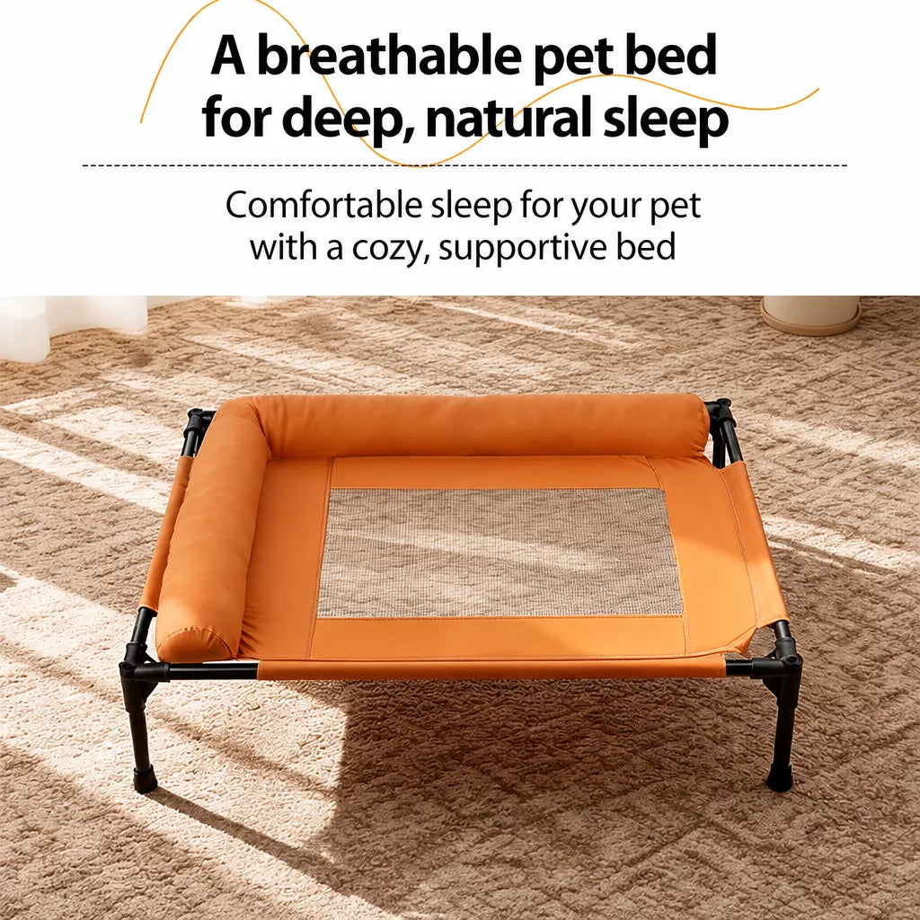 Raised Dog Cot Bed with Iron Frame