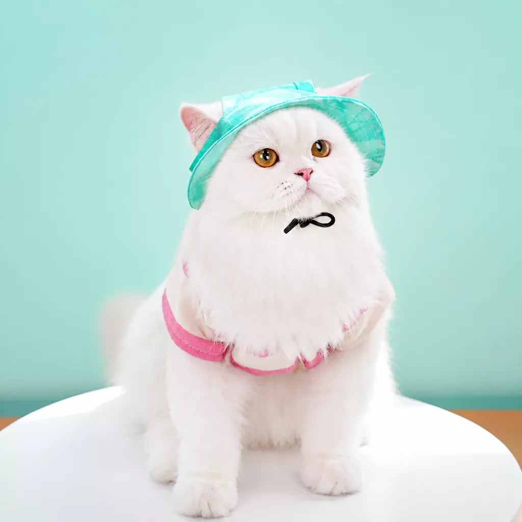 Adjustable Cotton Pet Bucket Hat with Ear Openings