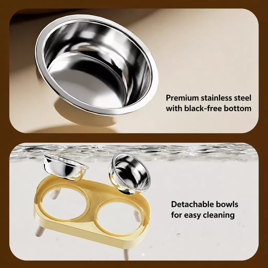 Stainless Steel Dog Bowl with Plastic Stand for Small Dogs