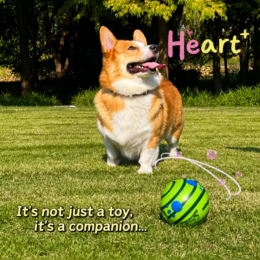 Interactive Squeaky Ball Dog Toy