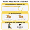Heavy-Duty Polyester Slip Lead for Small and Medium Dogs