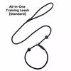 Nylon Rope Training Leash for Small to Medium Dogs