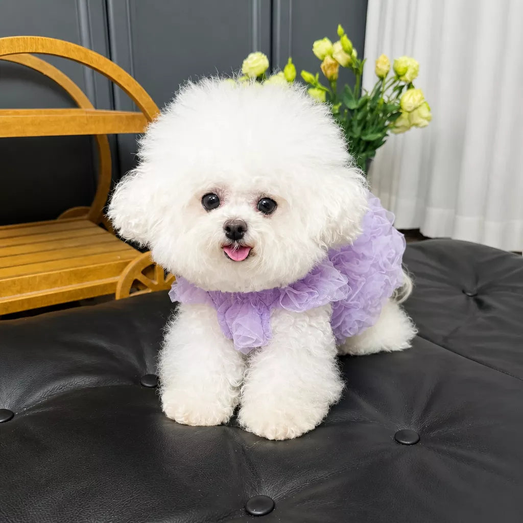 Pet Summer Dress with Suspender-Style Straps
