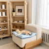 Waterproof Pet Rest Mat for Cats and Small Dogs