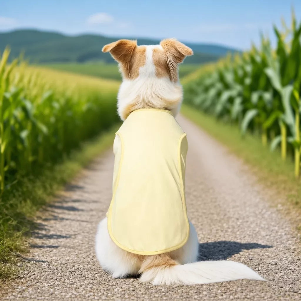 Lightweight Polyester Vest for Medium and Large Dogs