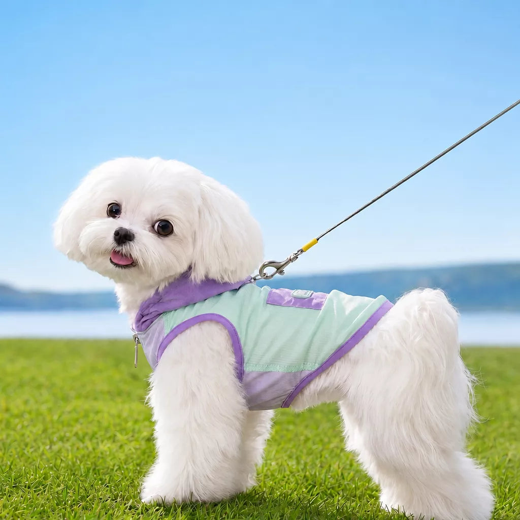 Summer Pet Shirt for Small Dogs