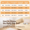 Elevated Portable Dog Cot with Removable Nylon Cover